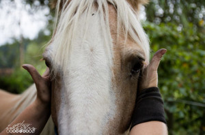Lyz holding a horse's face