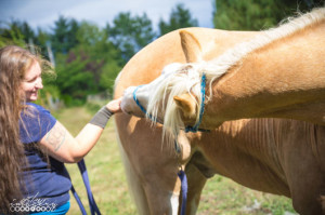 Lyz giving a treat to a horse